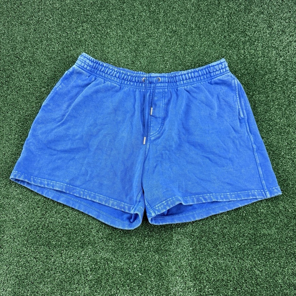 Chubbies Shorts Men's Size XL Blue 5" Inseam